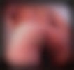 Gay massage by VitalTouchMiami - 39332 | RentMasseur