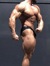 MNbodybuilder