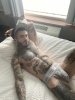 Gay massage by FlyTatem - 290907 | RentMasseur