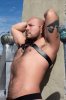 Gay massage by Libero - 376592 | RentMasseur