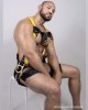 Gay massage by Alejanndro - 411802 | RentMasseur
