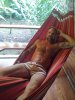 Gay massage by RelaxU - 481853 | RentMasseur