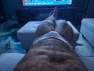 Gay massage by Brazilianhandx - 604351 | RentMasseur
