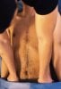 Elite_Masseur performs massage in Scottsdale, AZ - 12