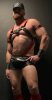 Gay massage by wehocmt - 775097 | RentMasseur