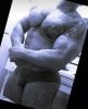 Gay massage by BodybuilderZeuz - 907198 | RentMasseur