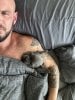 Gay massage by FurryMuscles - 902724 | RentMasseur