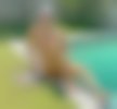 Gay massage by BoyGuy - 945861 | RentMasseur