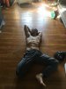 Gay massage by DoubleFox - 131624 | RentMasseur