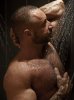 Gay massage by FurryMuscle - 166522 | RentMasseur